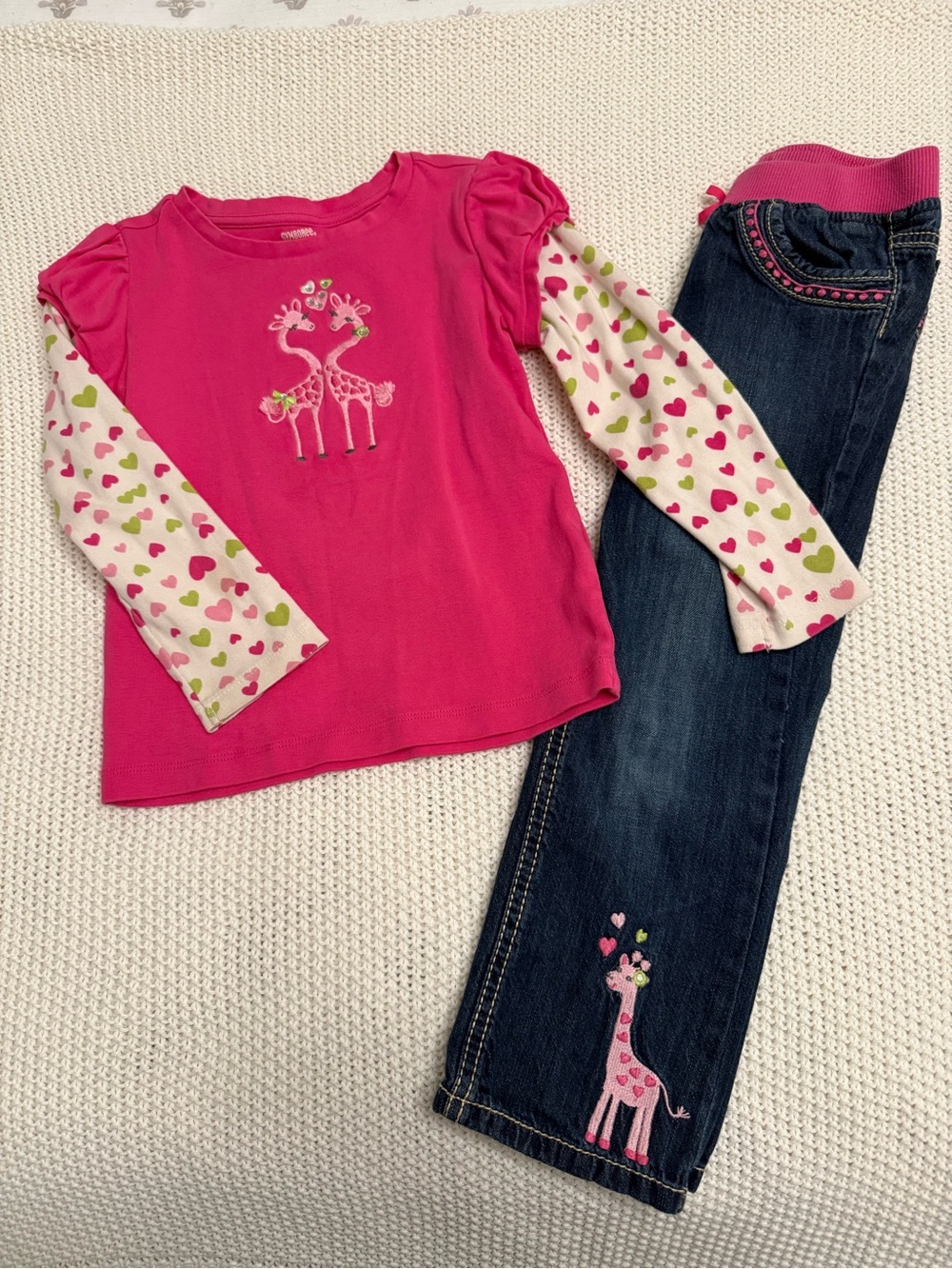 Gymboree Loveable Giraffe Shirt and Pants Set